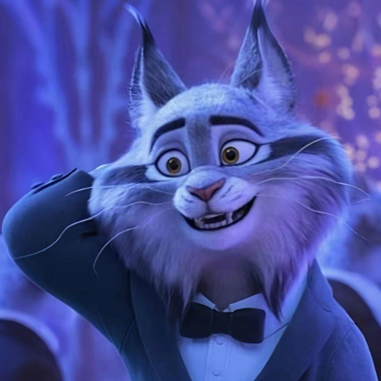 被盘问：一场由动画引发的全民狂欢引发高度关注开元棋牌突发特讯！一夜之间所有的缅因猫都在(图4)